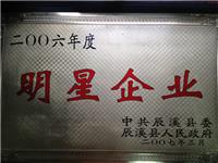 2006年度明星企业