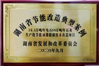 2020年9月获湖南省节能改造典型案例荣誉