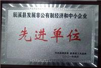 2021年辰溪县发展非公有制经济和中小企业先进单位 (2)