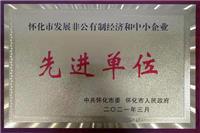 2021年怀化市发展非公有制经济和中小企业先进单位 (2)